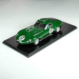 1/24 Jaguar Type E Light weight Le Mans 1964, Profil 24 models