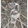 4 photoetched plated nuts, 50' years