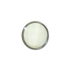 8 phares avant blanc diamètre 3 mm