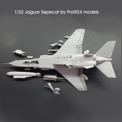 1/32 Sepecat Jaguar GR1/GR3 Great Britain Profil24 models