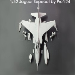 1/32 Sepecat Jaguar GR1/GR3 Great Britain Profil24 models