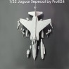 1/32 Sepecat Jaguar GR1/GR3 Great Britain Profil24 models