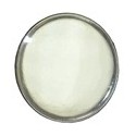 8 front white light diameter 3 mm