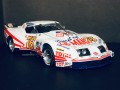 1/24 Corvette Spirit Greenwood Le Mans 1976 by Mr Leouzon, France, Model car Profil 24